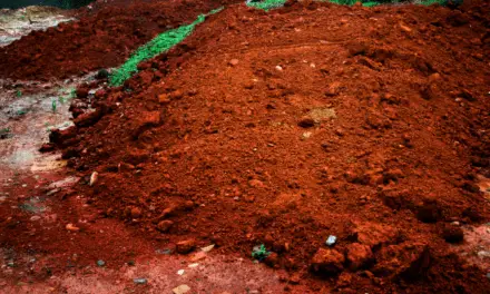 Is Red Clay Soil Good For Vegetables?