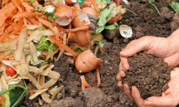 What Is A Drunken Compost And How Do You Make It?