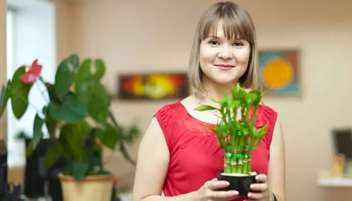 A woman holding a bamboo plant
