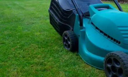 Do Electric Lawn Mowers Use A Lot Of Electricity? (Explained)
