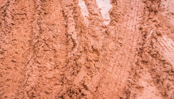 Waterlogged clay soil