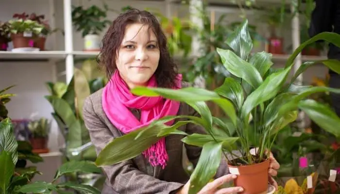 A woman holding a cast iron plant