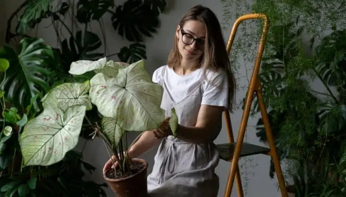 A woman in a garden room