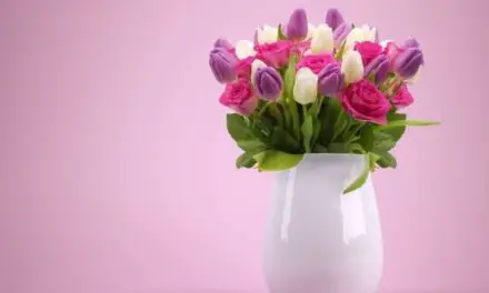 How To Make Your Cut Tulips Last Longer (8 Ways That Really Work)