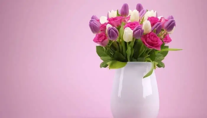 Fresh cut tulips in a vase